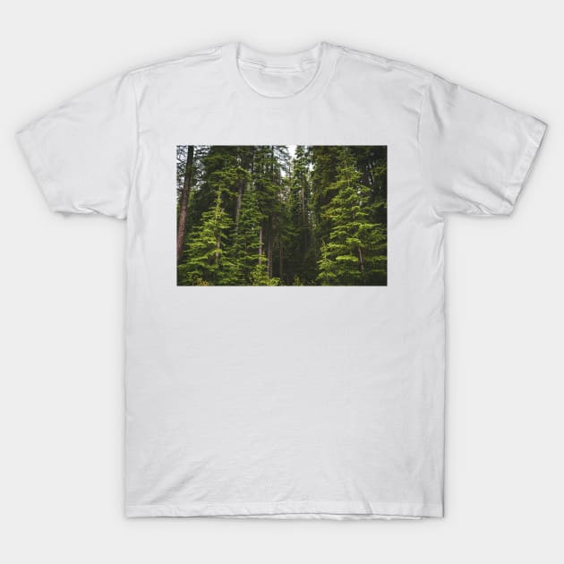 Magical Evergreen Mountain Woods T-Shirt by Amy-K-Mitchell